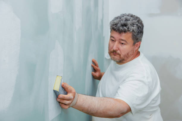 Best Drywall Crack Repair  in Newton, IA